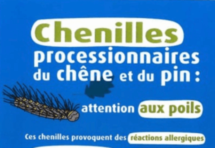 image chenille